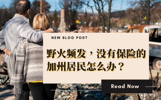 MU 2023 (530 × 330 px).png