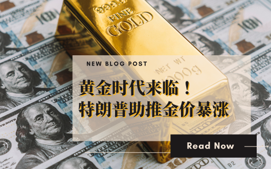 MU 2023 (530 × 330 px) (3).png