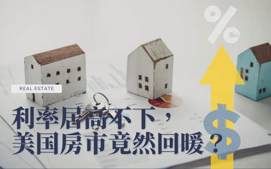 MU 2023 (530 × 330 px).png